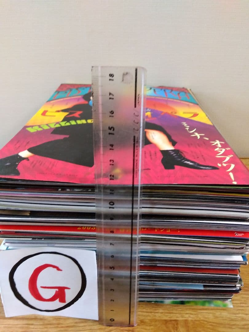 映画チラシ（フライヤー）セット【Ｇ】