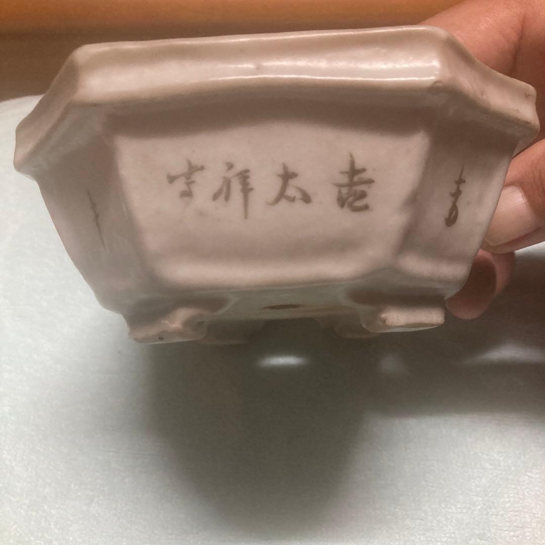 中国鉢　長方　絵鉢　盆栽鉢