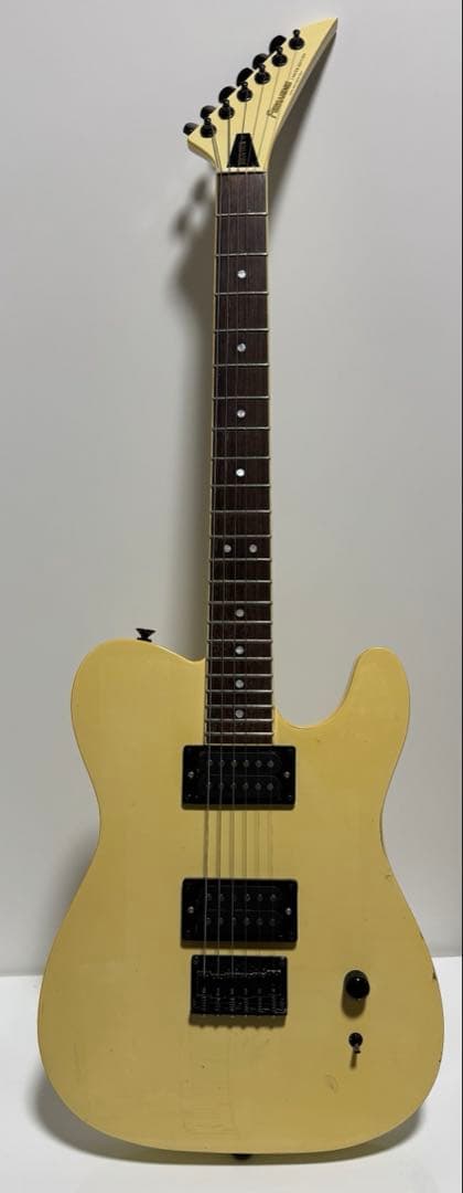 【希望価格募集】Fernandes TEJ BUCK-TICK 今井寿 限定