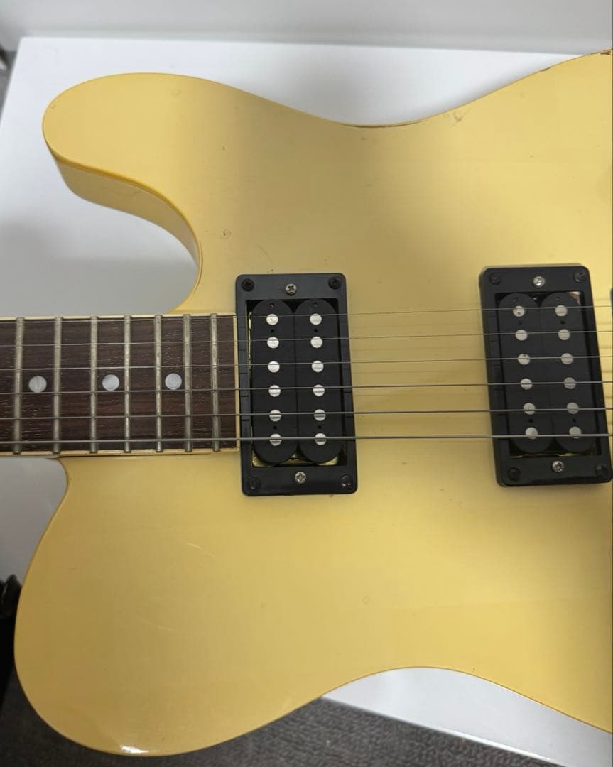 【希望価格募集】Fernandes TEJ BUCK-TICK 今井寿 限定