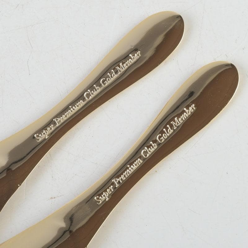 ハーゲンダッツ　スーパープレミアムクラブ　カップ＆スプーン　C　9370