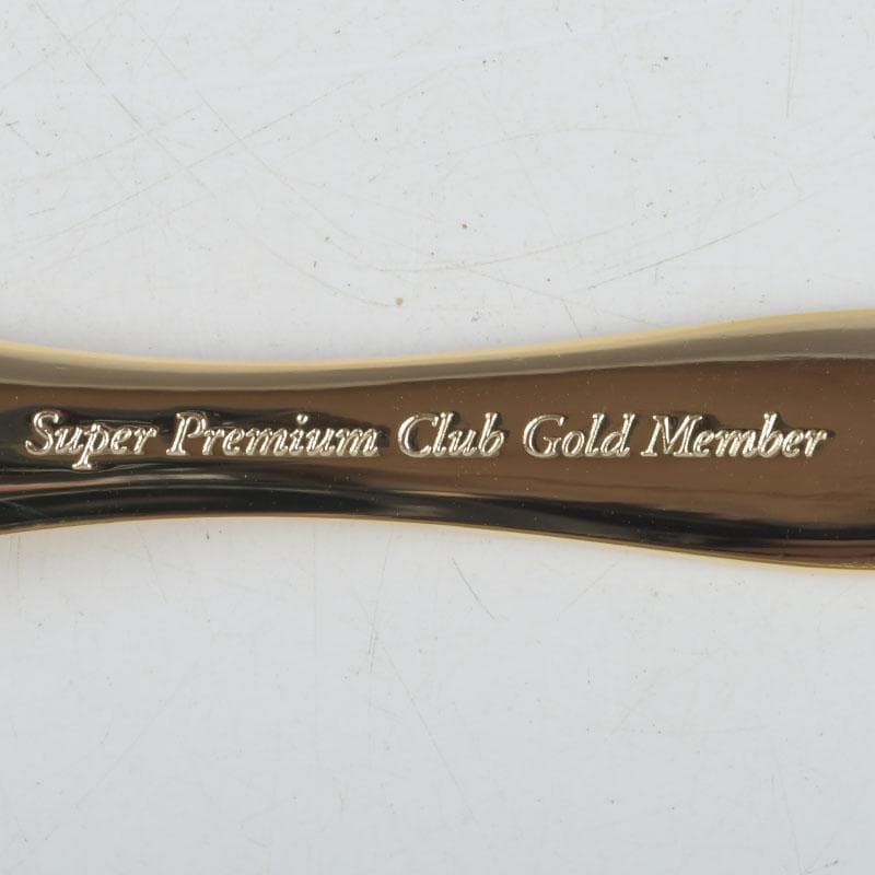 ハーゲンダッツ　スーパープレミアムクラブ　カップ＆スプーン　C　9370