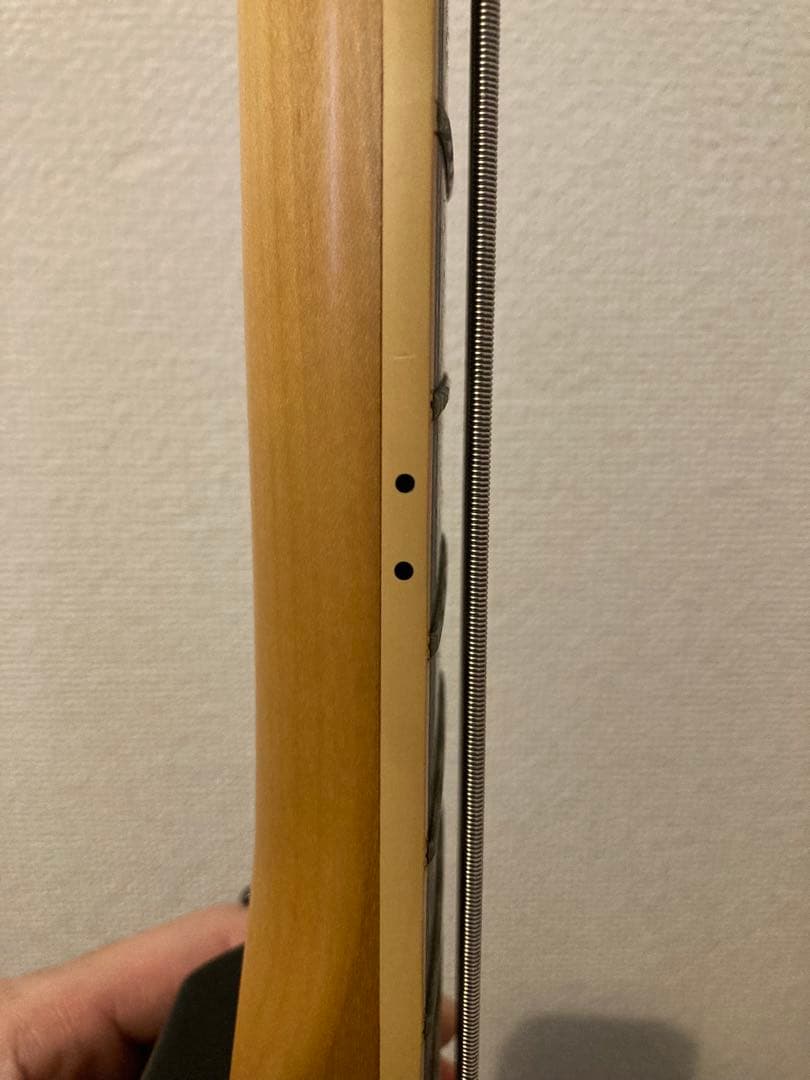 【さむ】EDWARDS(エドワーズ)エレキベース