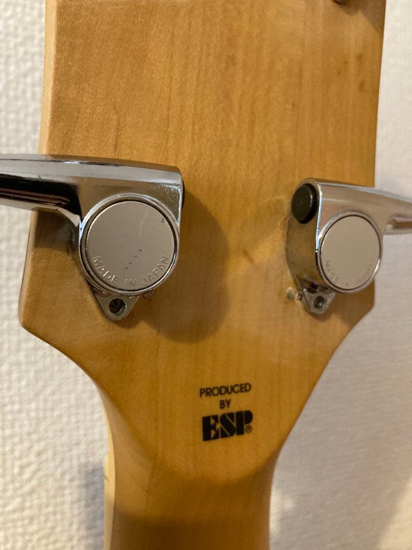 【さむ】EDWARDS(エドワーズ)エレキベース