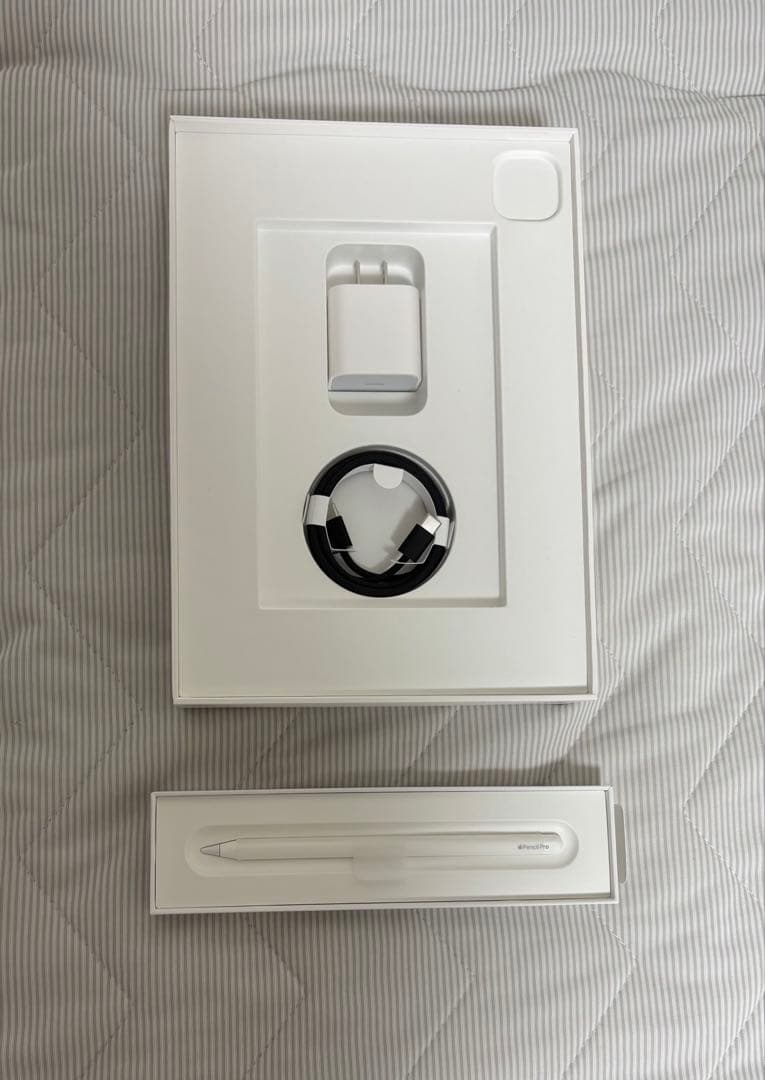 ましゅページ　Apple iPad Pro （M4）