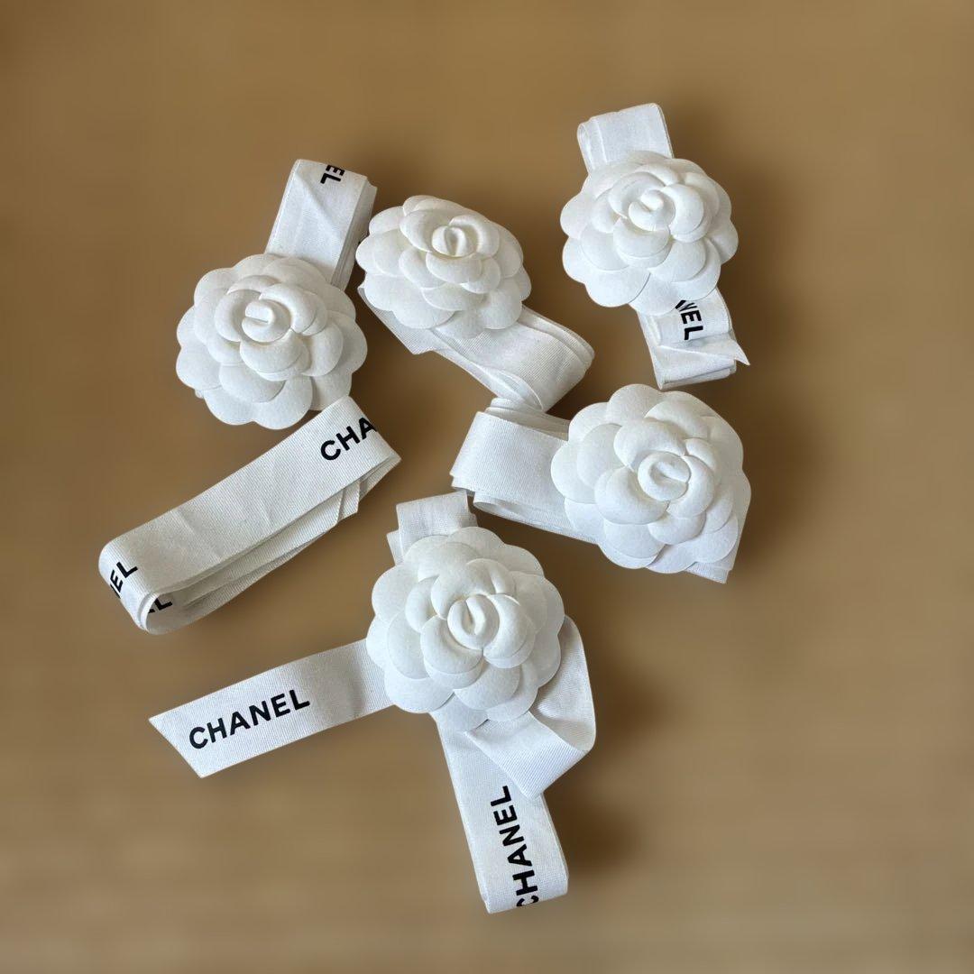 CHANEL リボンセット　ショッパー　空箱　マグネット　保存袋　付属品　セット