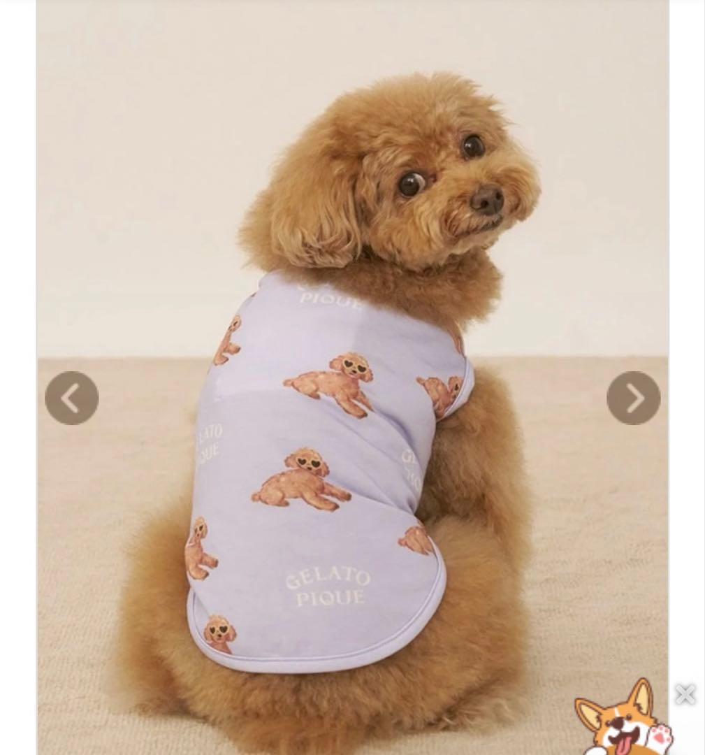 ジェラートピケドッグウェアセット