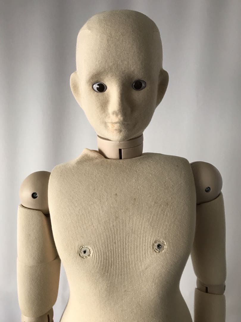 包帯練習人形　京都科学♡