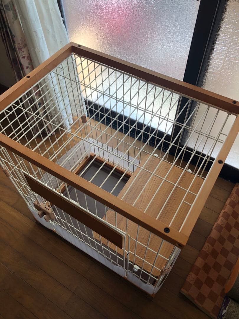 y キャットサークルシングル