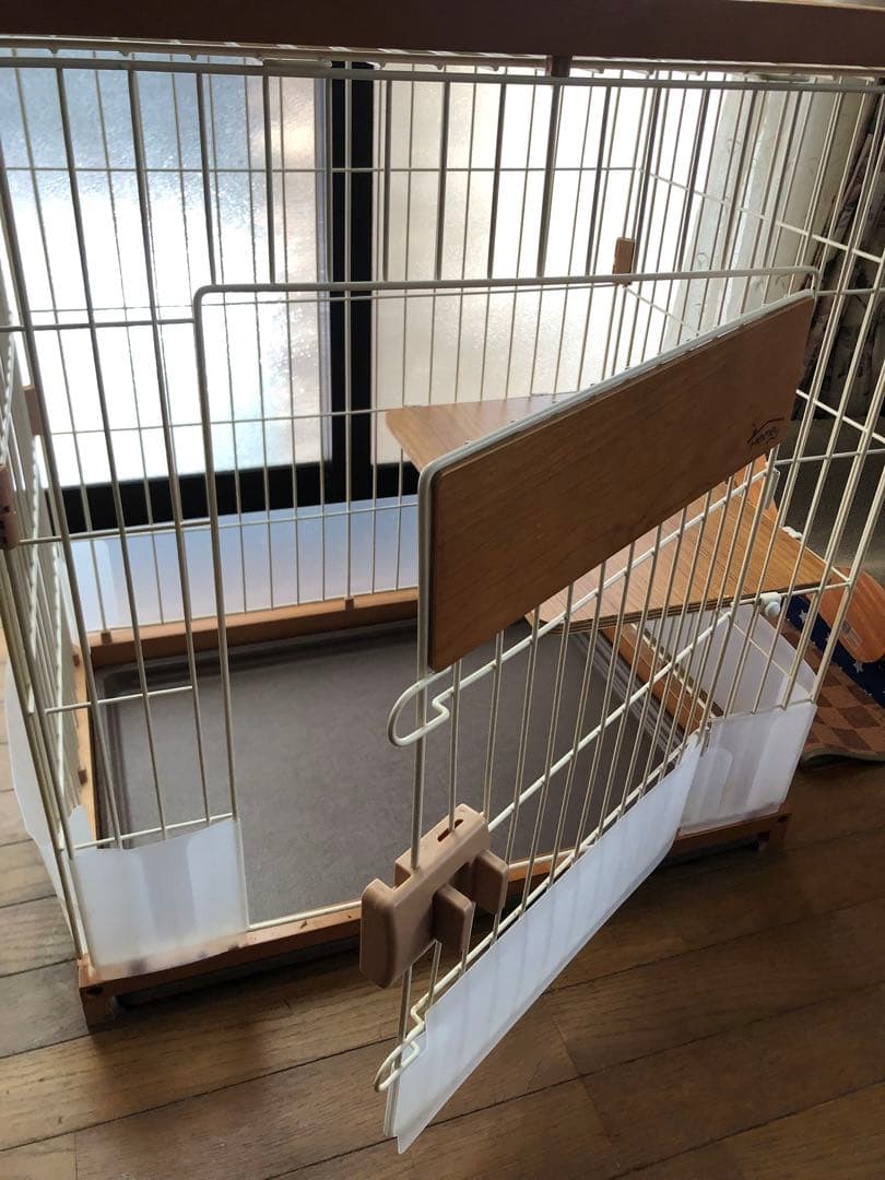 y キャットサークルシングル