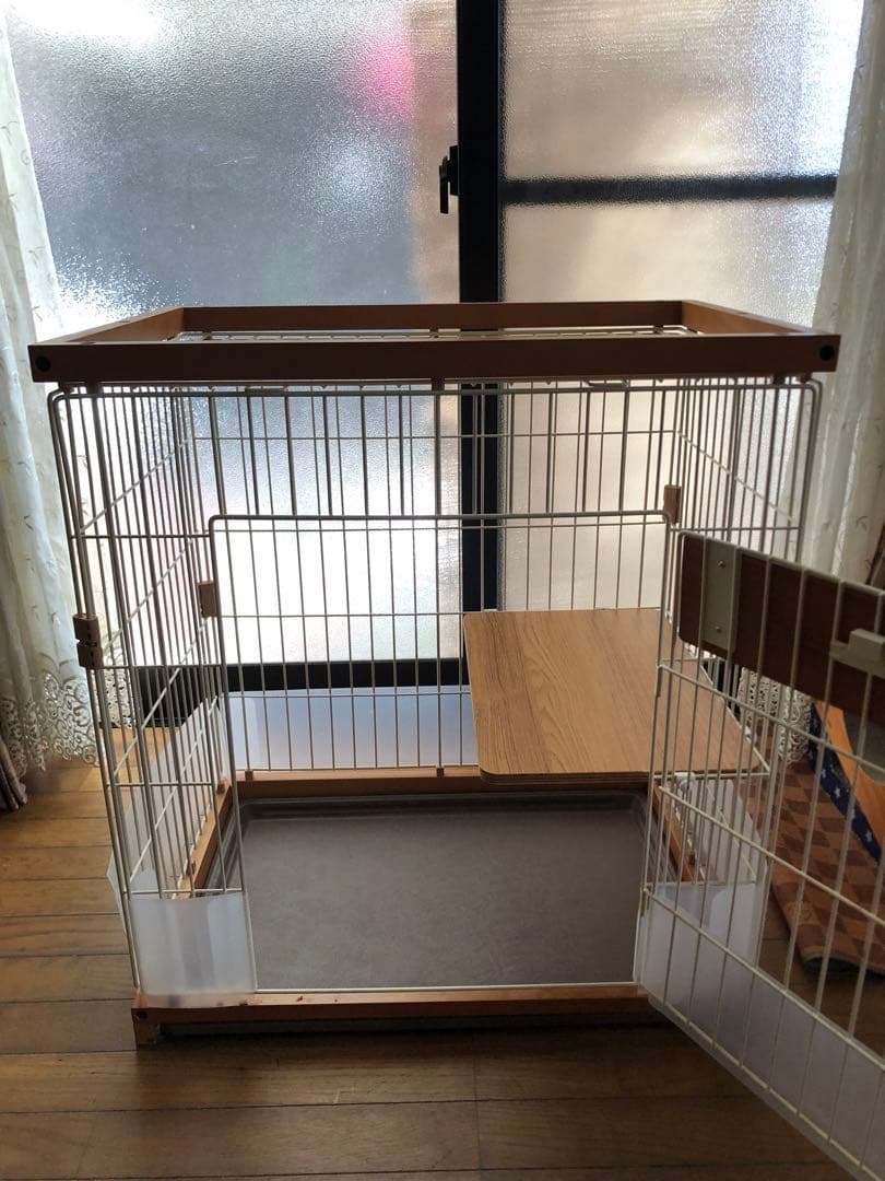 y キャットサークルシングル