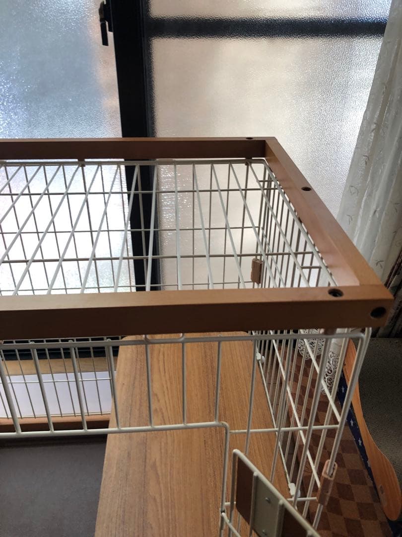 y キャットサークルシングル