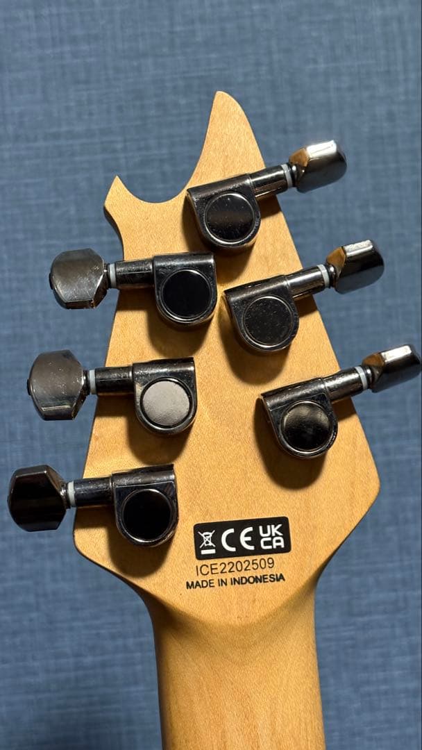 EVH Wolfgang WG Standard 中古美品