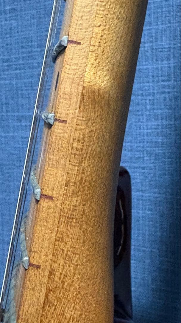 EVH Wolfgang WG Standard 中古美品