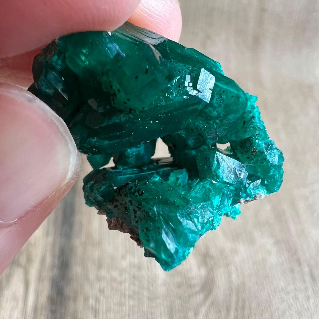 ダイオプテーズ  A5 鉱物 標本 原石