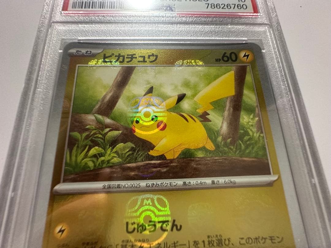 マスターボールピカチュウpsa10 お顔にマスボ⚡️ 151