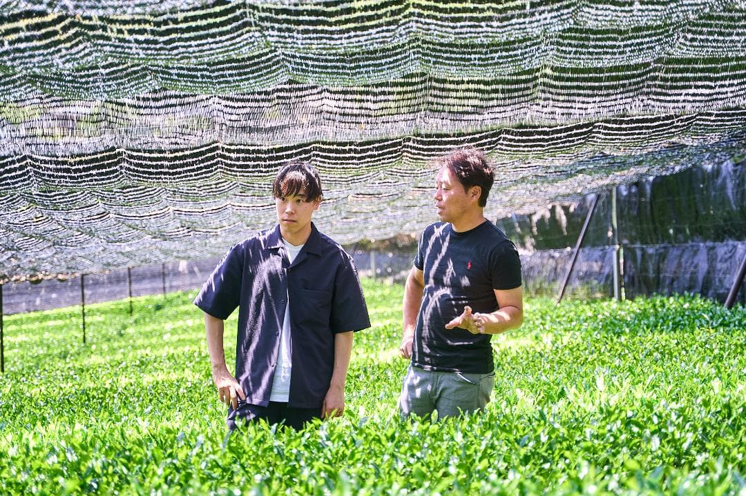 【業務用1kg】京都和束町産のオーガニック抹茶缶（シングルオリジン）