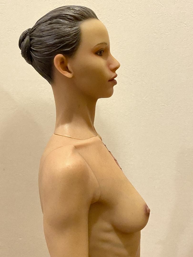 人体模型 AnatomyTools Female1:3Flesh/Anatomy v3A