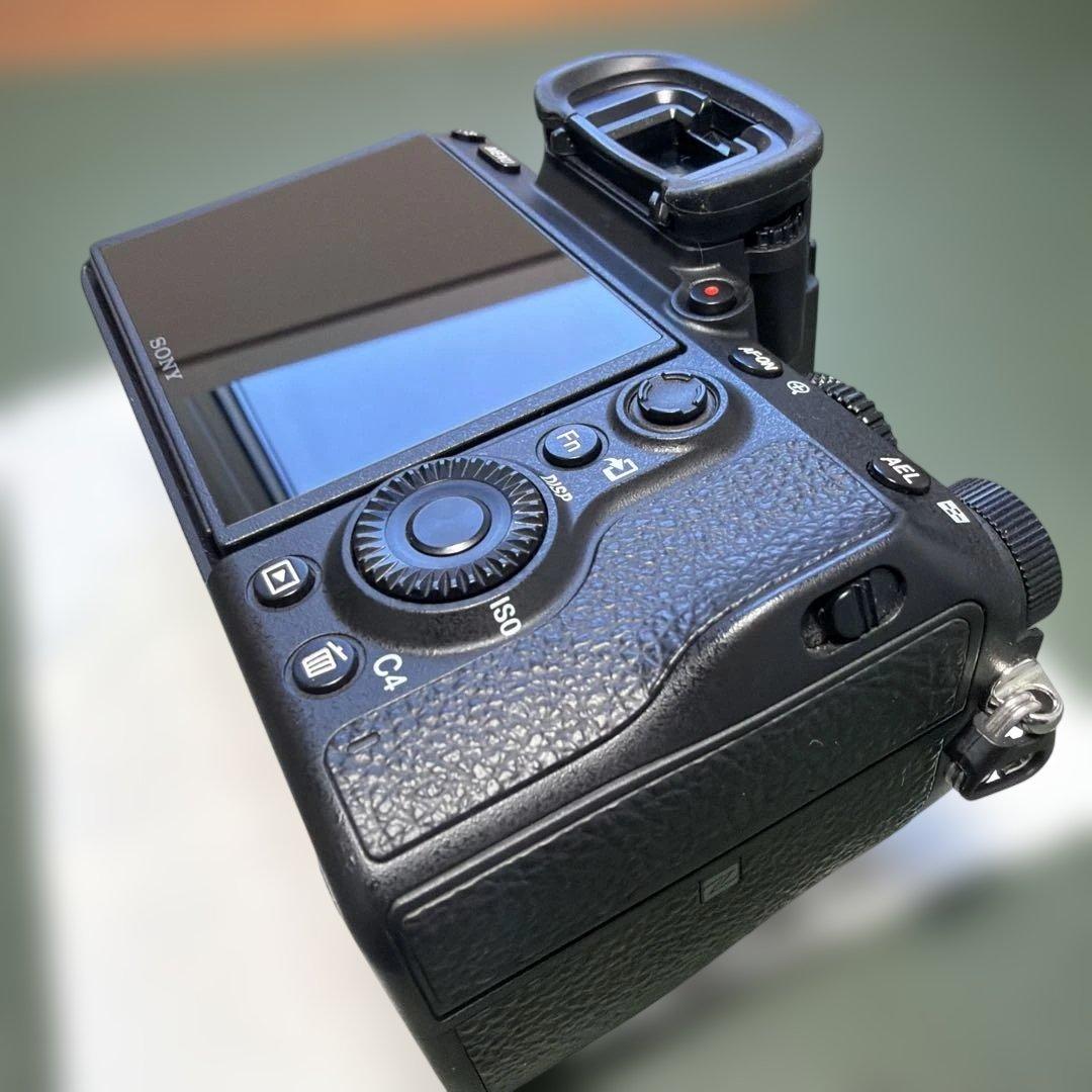 撮影枚数2854枚 SONY α7Ⅲ