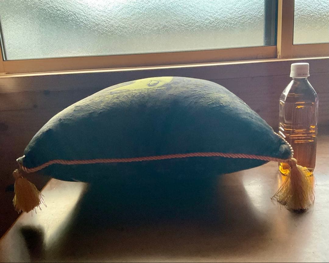 の*ん様 【非売品】黒ミサ 2024 クッション HYDE ハイドEdyh 富良