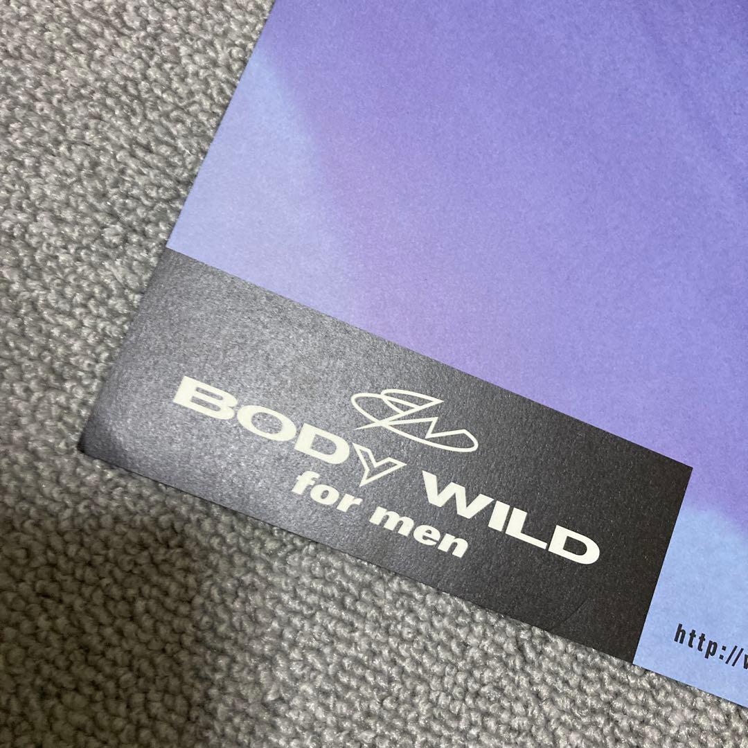 井川遥　BODY WILD FIT BOXER ポスター　美品　グンゼ　青　１