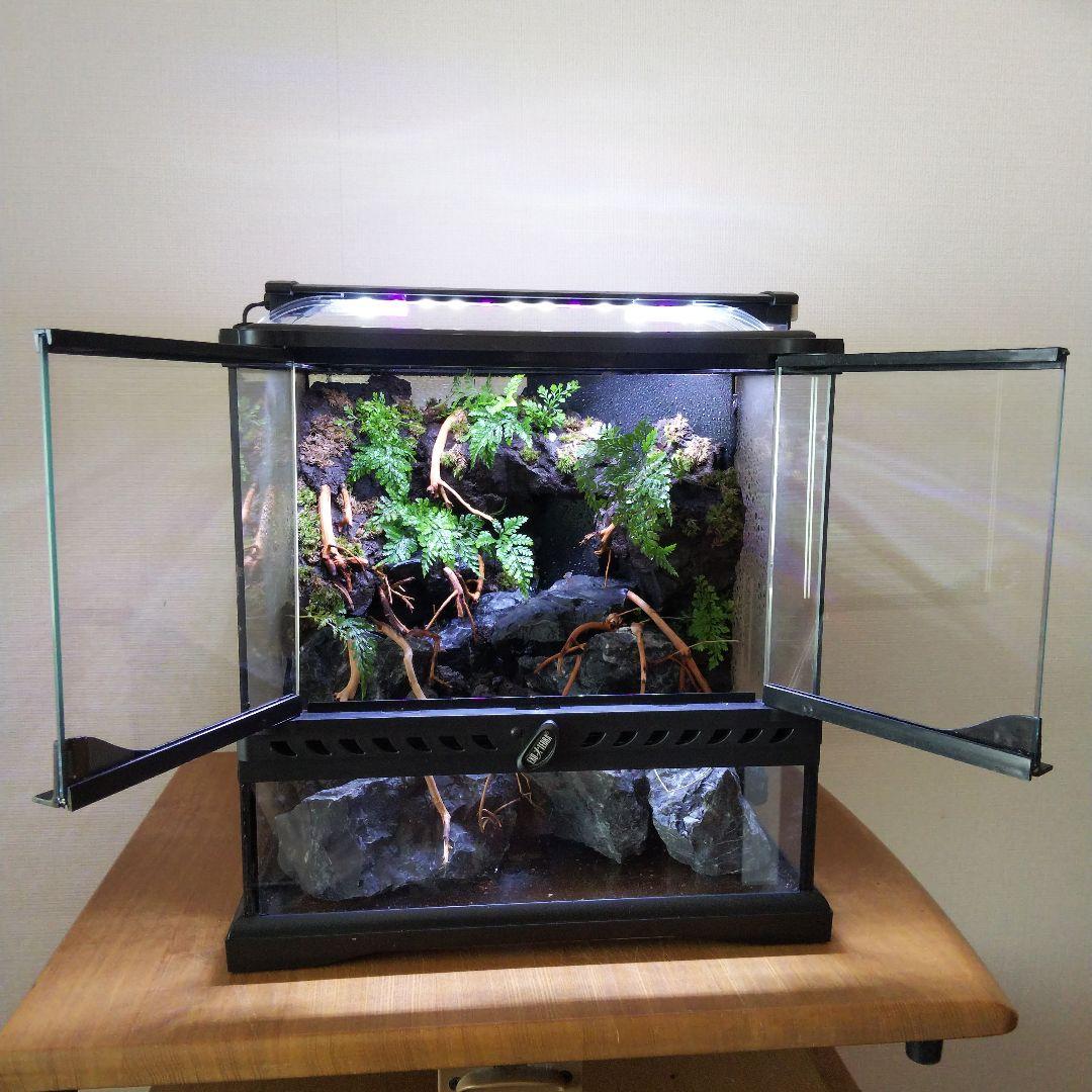 【受注生産】イモリウム　苔テラリウム　アクアテラリウム グラステラリウム