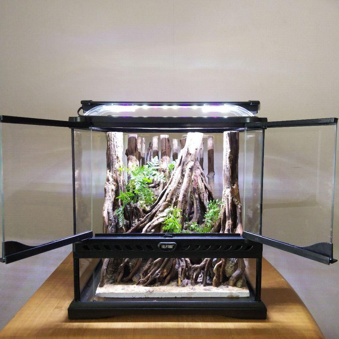 【受注生産】イモリウム　苔テラリウム　アクアテラリウム グラステラリウム