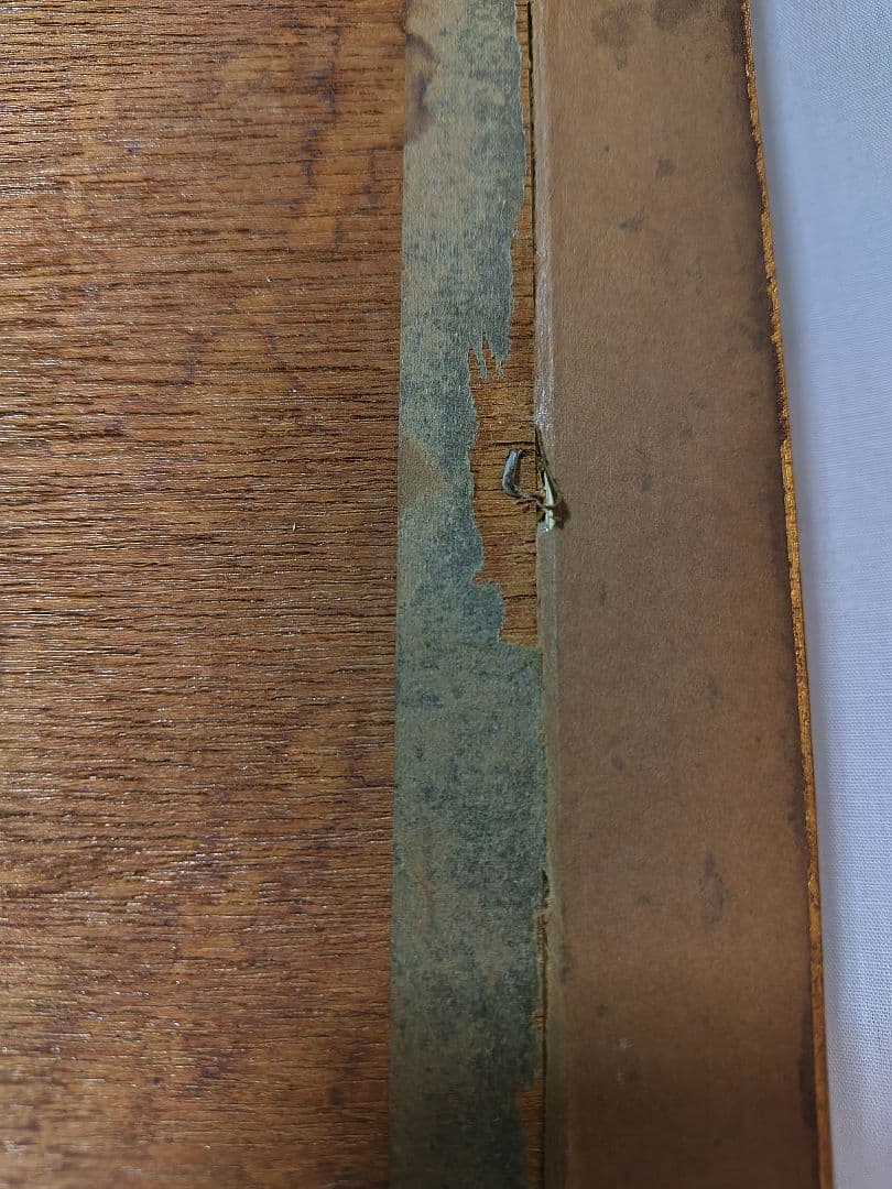 ルノアール、たかを持つ少女、鷹と少女