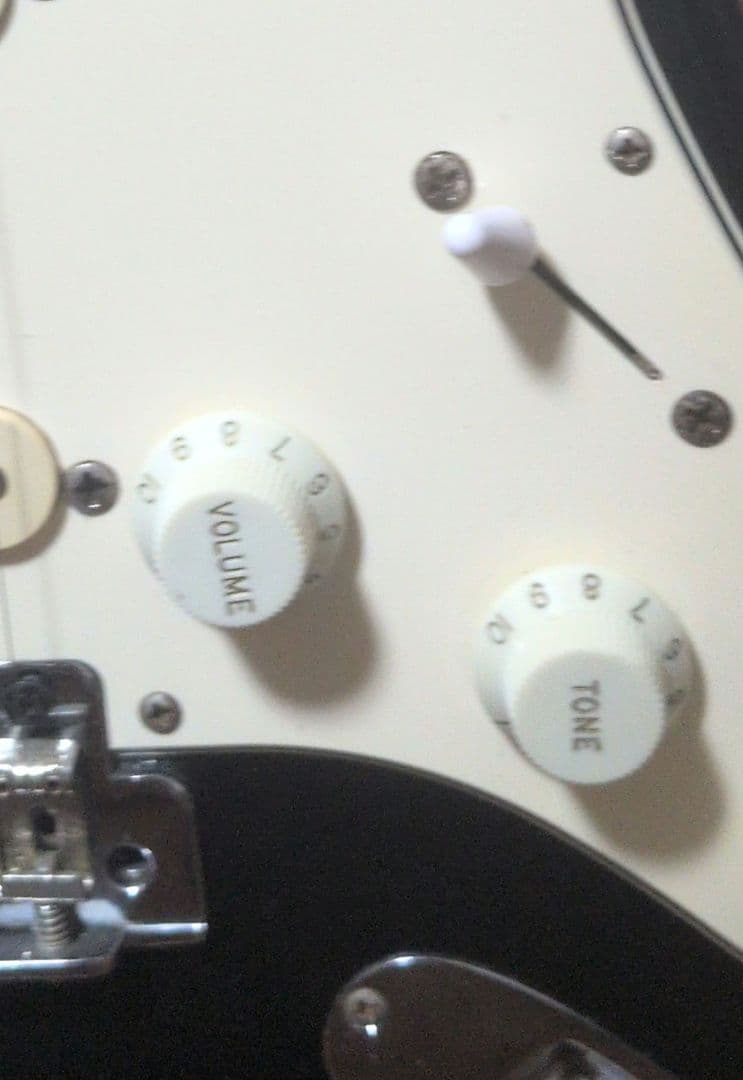 フジゲン　Neo Classic　NCST-20R　セイモアダンカンピックアップ