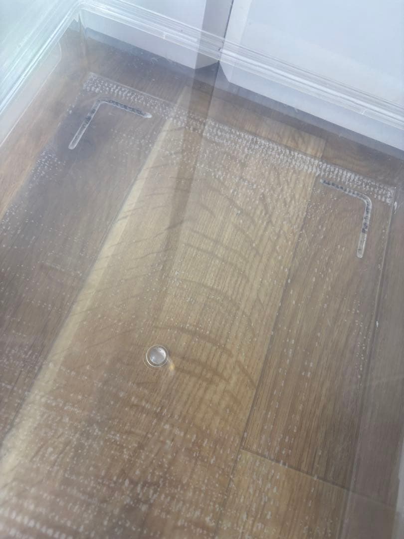 レプティギア365 3個セット