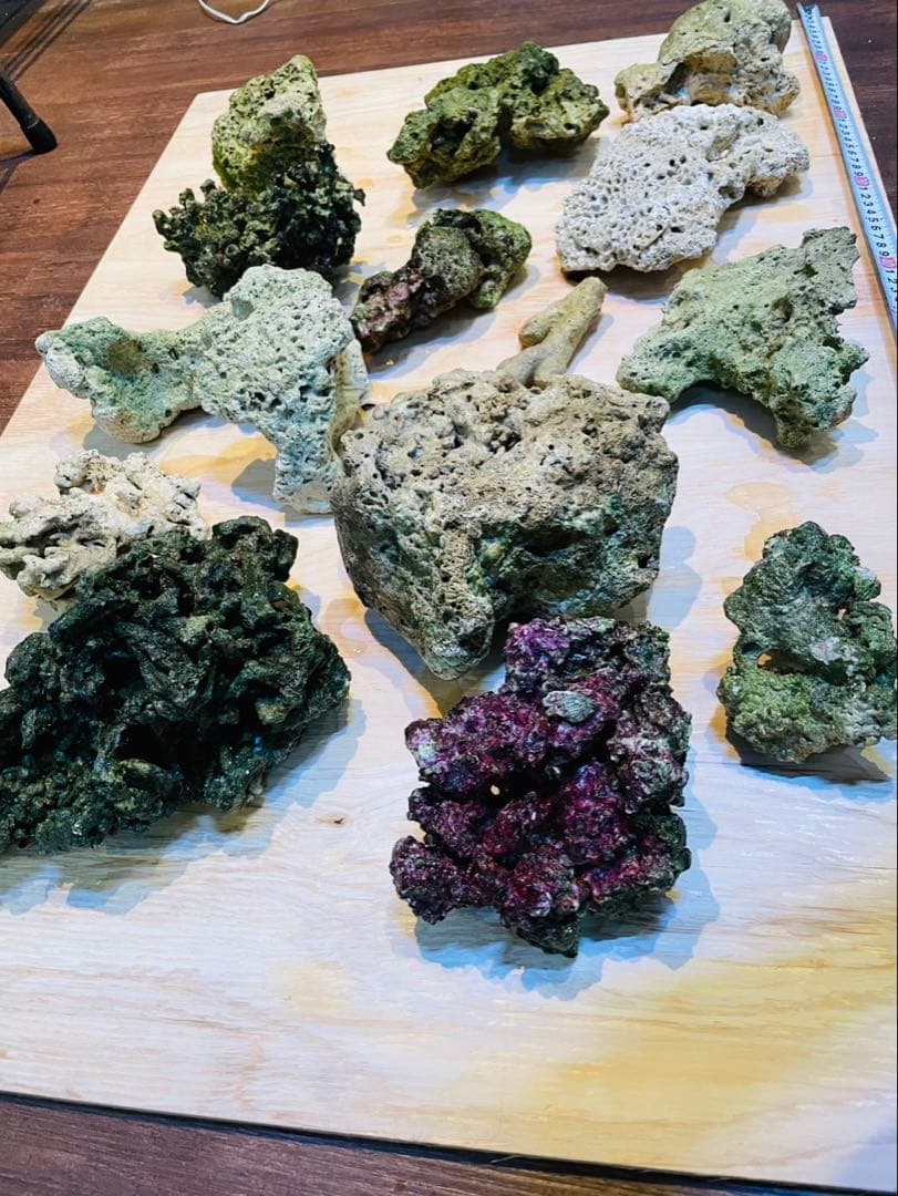 天然ライブロック　11〜12kg