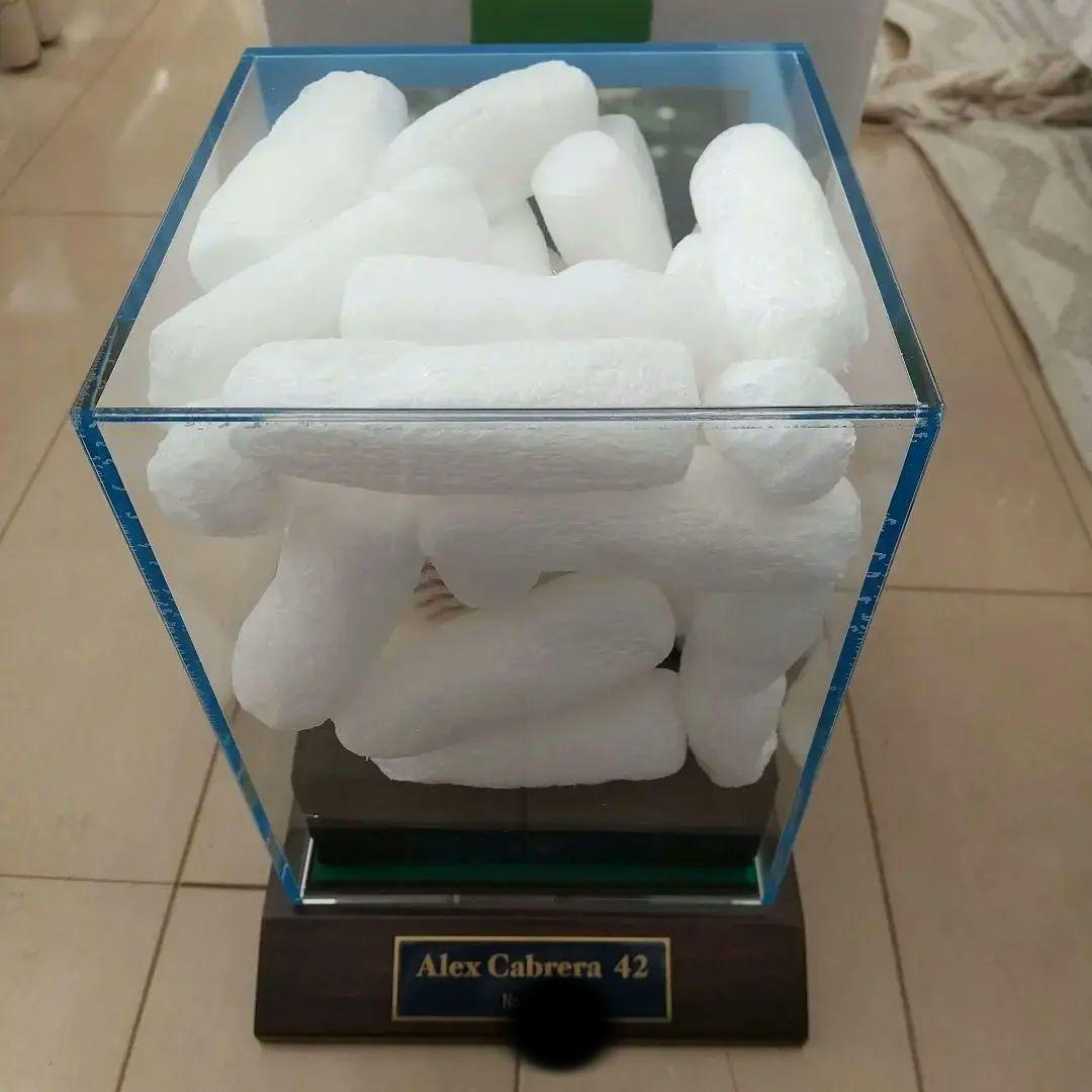 Alex Cabrera アレックス カブレラ 球団公式直筆サイン記念ボール42