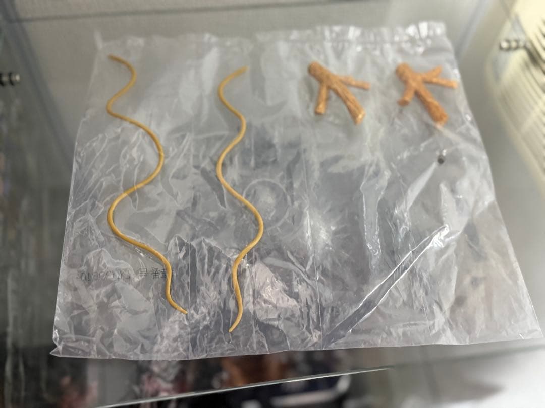 100体限定　一番くじ　黄金神龍　ダブルチャンスキャンペーン　カラーver