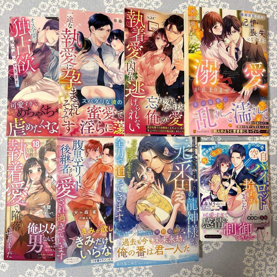 【専用】エタニティブックス・ルネッタブックス・ヴァニラ文庫　11月新刊