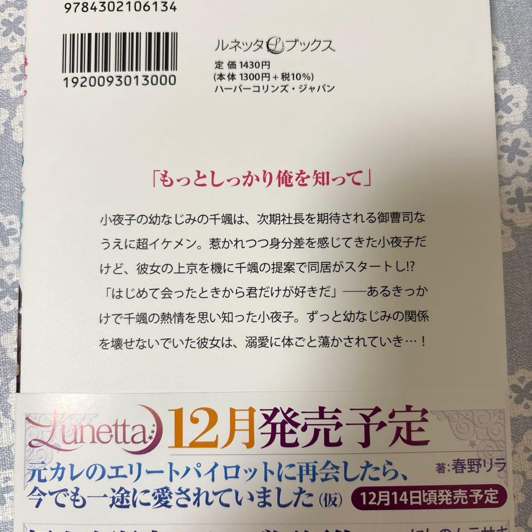 【専用】エタニティブックス・ルネッタブックス・ヴァニラ文庫　11月新刊
