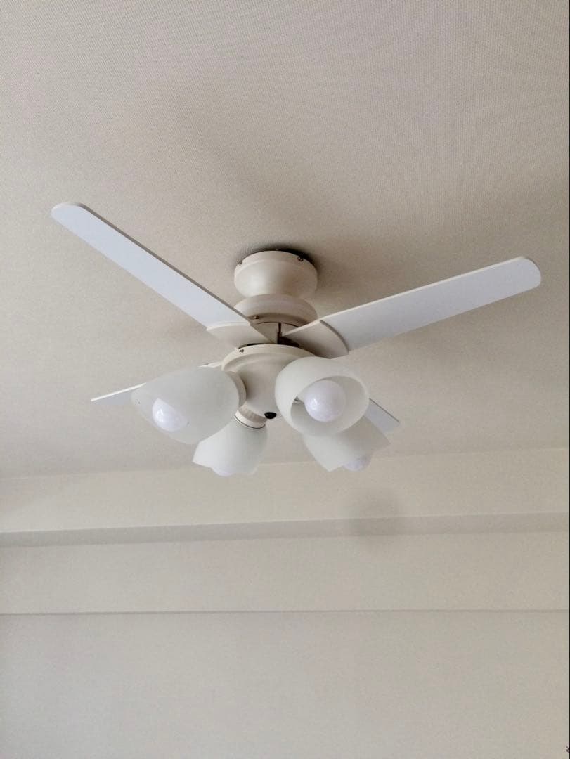 シーリングファンライト ホワイト/ウッド柄 LED電球付き