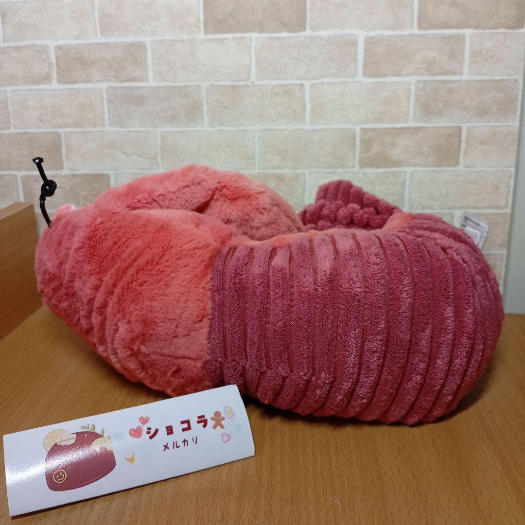  lobster ジェリーキャット ロブスター　エビ　海　生き物