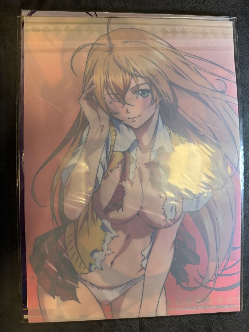 クリアポスター　DMMスクラッチ　一騎当千シリーズ　C賞　4枚セット