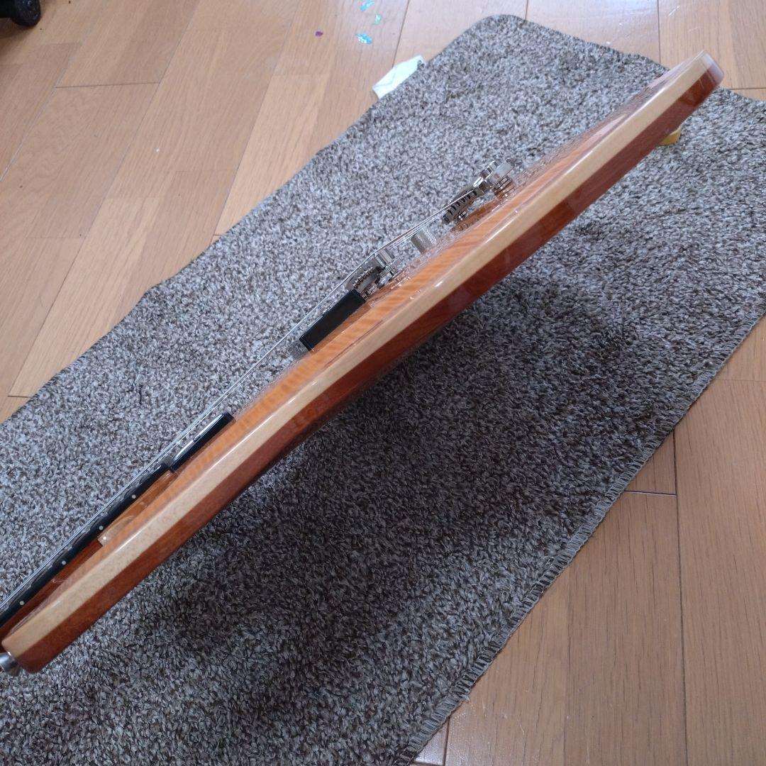 DBZ guitars imperial セミアコ？ チェンバー？ エレキギター