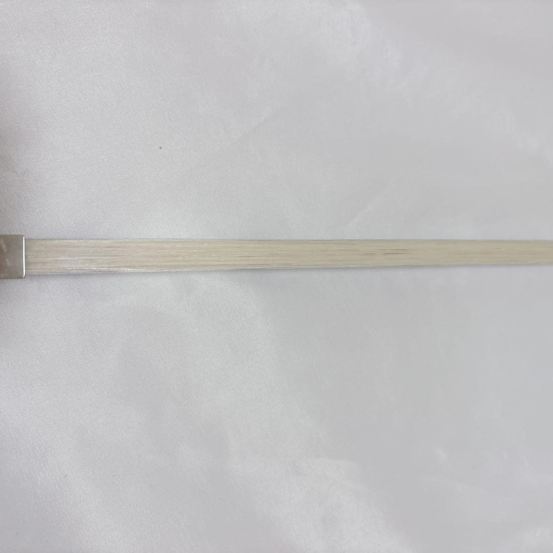 Carlo Giordano カルロジョルダーノ バイオリン VS-1 1/10