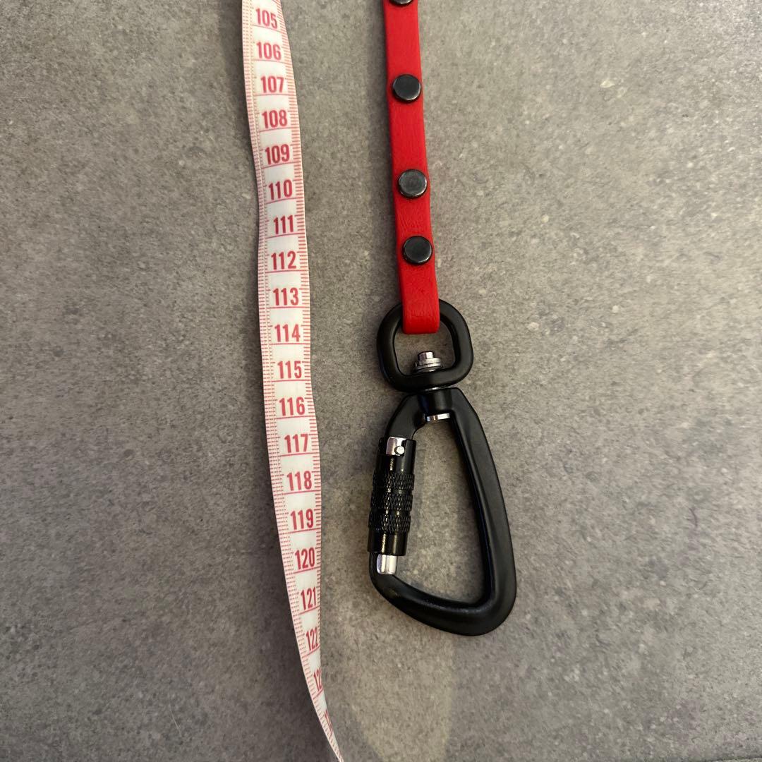 リード3点（赤、青、オレンジ）、TORACリード1点