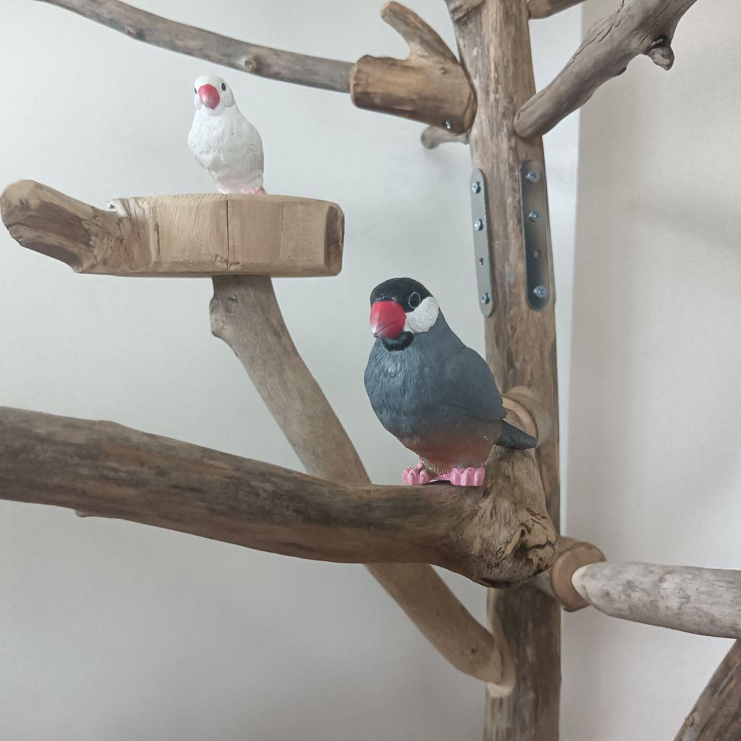 バードアスレチックジム大型 ② 天然木 自然木 流木 インコ おもちゃ