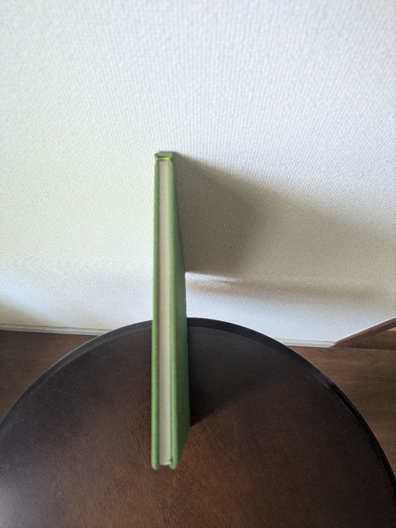 【貴重】水沢江刺駅　設置運動15年の歩み