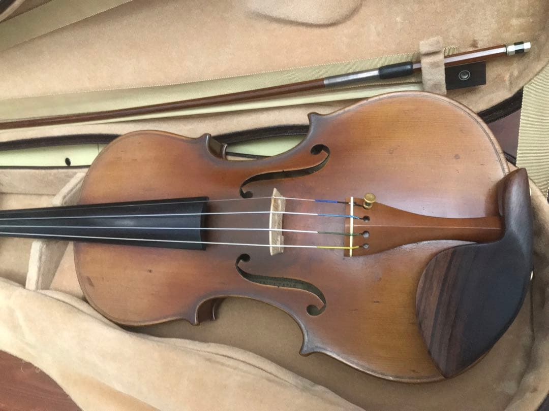 弦楽器 MASAKICCHI SUZUKI NO.5