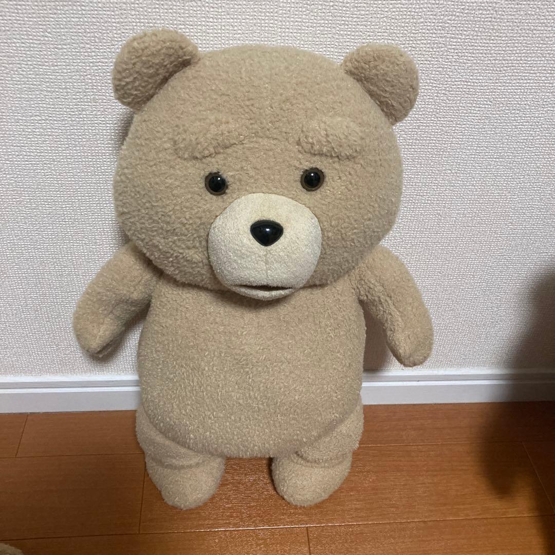 テッドぬいぐるみ(大)6体セット