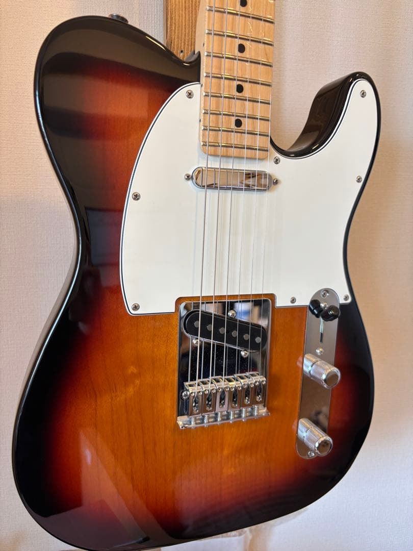 ねこ Fender Player Telecaster テレキャスター