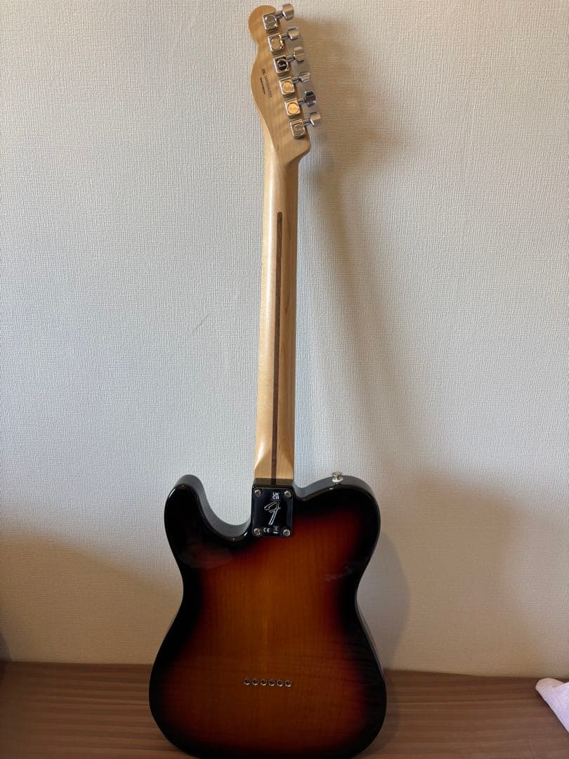 ねこ Fender Player Telecaster テレキャスター