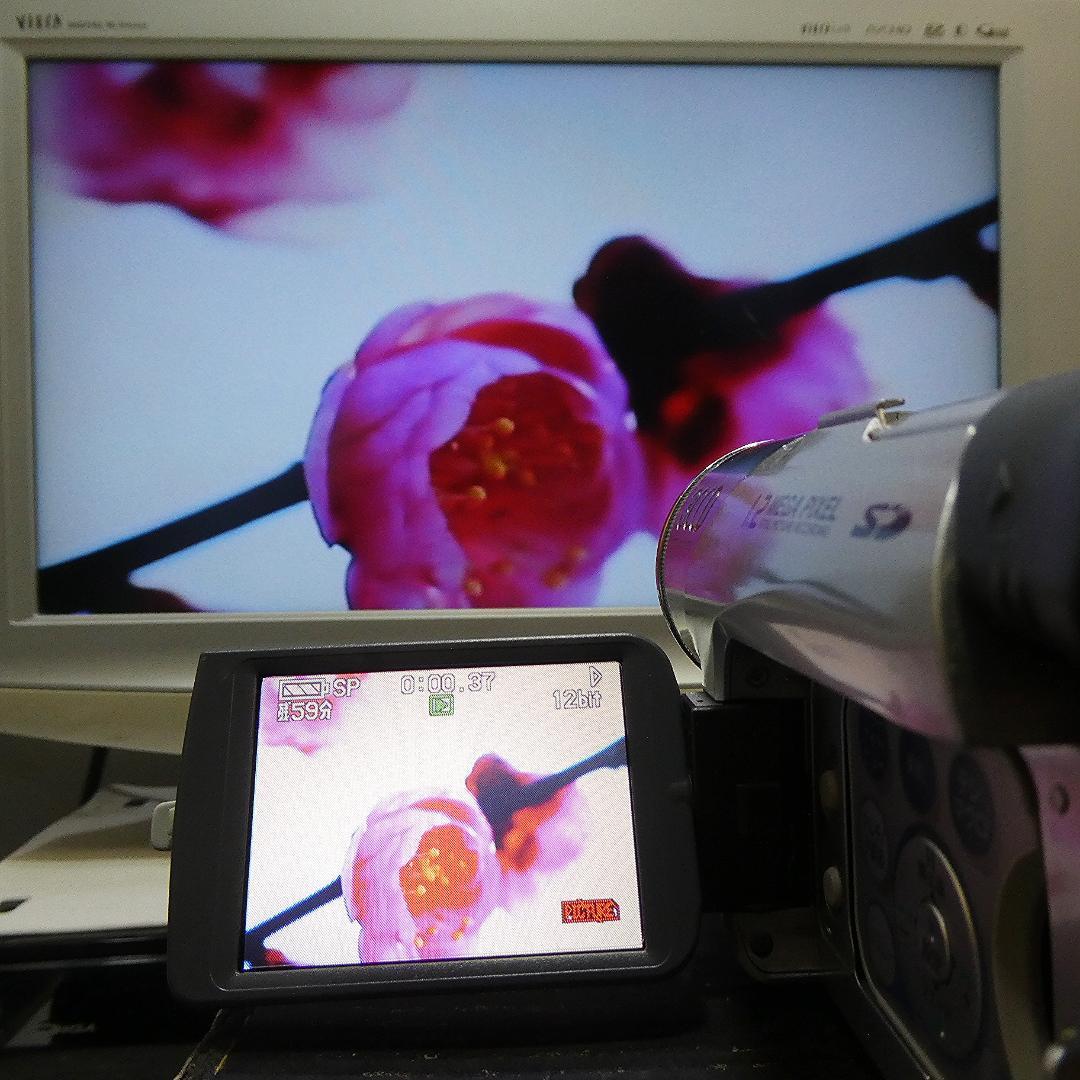 動作良好 パナソニックNV-GS120 MiniDVビデオ　DVDダビングに最適