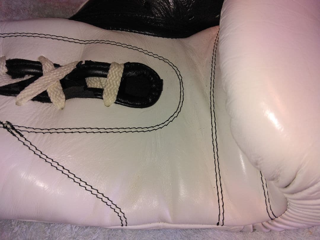 カサノバ、レイジェス　ボクシンググローブ