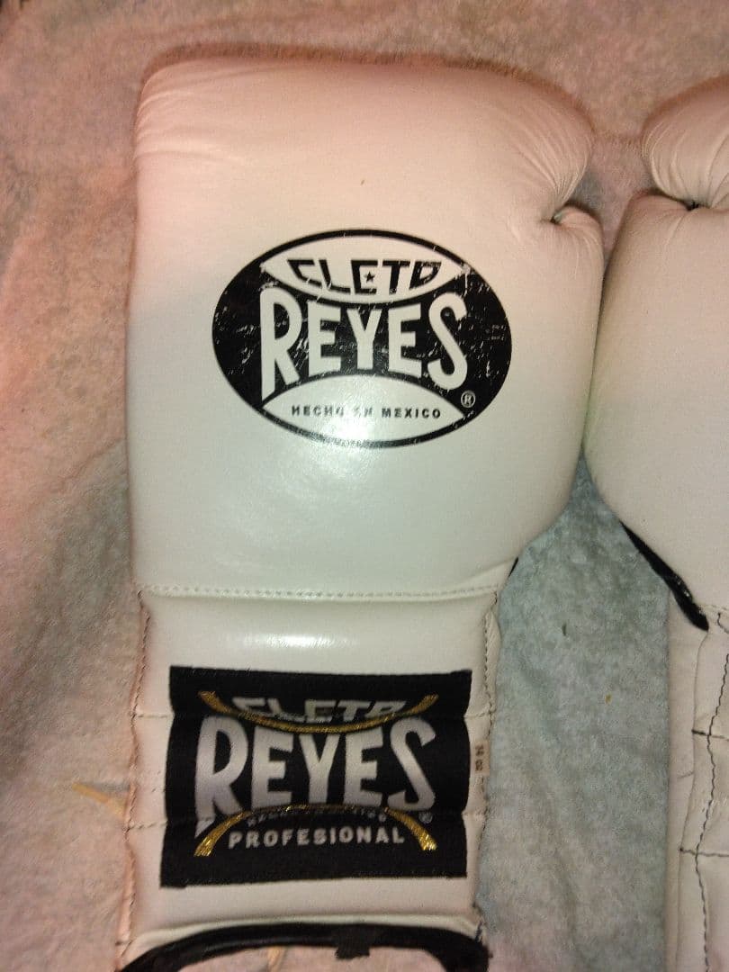 カサノバ、レイジェス　ボクシンググローブ